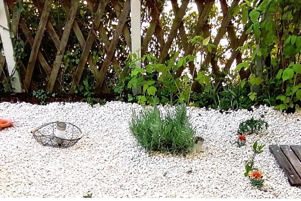 Apartment L'ile D'olive: Spacious Terrace In Besancon